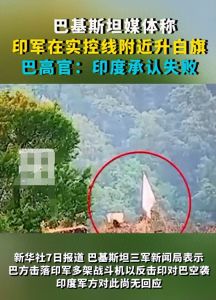 巴外长证实歼-10C已手下留情，“阵风”陨落印方举白旗法国不想面对官员一句话回应好心酸好无奈 ...