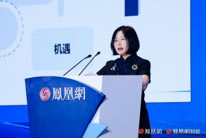 民间组织合作促进会理事长赵喜玲：中国企业出海进入新赛点，社企合作是一个破局的关键 ...