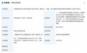 擅自生产销售未经强制检测认证电芯充电宝召回事件上游电芯公司无锡安普瑞斯被行政处罚 ...