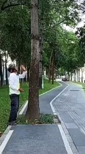 深圳多管局局长火了，参与整改市政工作人员回应：解决民生诉求，多数事项在当天处理完 ...