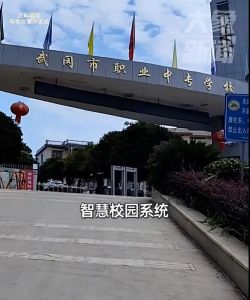 有家长在问政湖南平台反映乱收费问题多人被立案审查，武冈市持续加强教育系统收费监管 ...