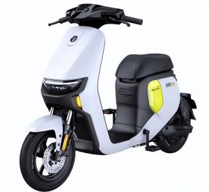 电动自行车新国标强制执行，为何一夜之间涨千元？消费者与市场阵痛，安全是拿钱买来的 ...