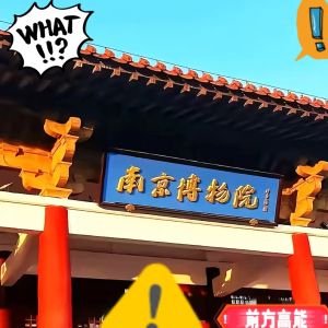 严厉打击文物犯罪切实维护国家文物安全，江苏通报南京博物院文物管理问题调查处理情况 ...