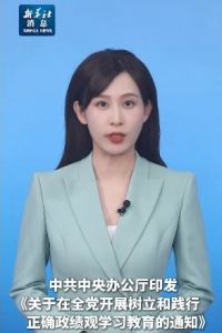 查摆问题整改整治建章立制开门教育，中办通知在全党开展树立和践行正确政绩观学习教育 ...