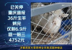 重庆通报“36斤生羊烤完仅剩6.9斤”，涉事商家大草原烤全羊南滨路钟楼店虚增活羊重量赔偿4752元 ...
