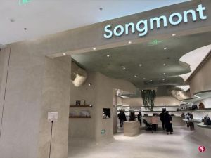 中国品牌崛起先线上再线下打开市场，年轻消费者平等看待本土海外品牌改写奢侈品格局 ...