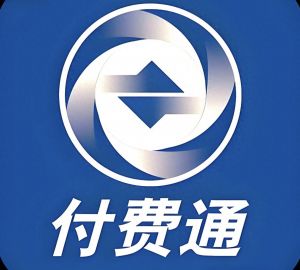 靠概念包装就能换取政策红利时代彻底过去了，拼多多旗下付费通被取消高新技术企业资格 ... ...
