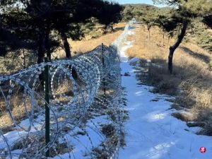 泰山景区回应铁丝网争议事实没摆全道理没讲清，实难以消除公众对游客安全生态保护疑虑 ...