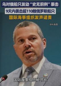 乌对俄船只发动“史无前例”袭击，国际海事组织发声表示谴责